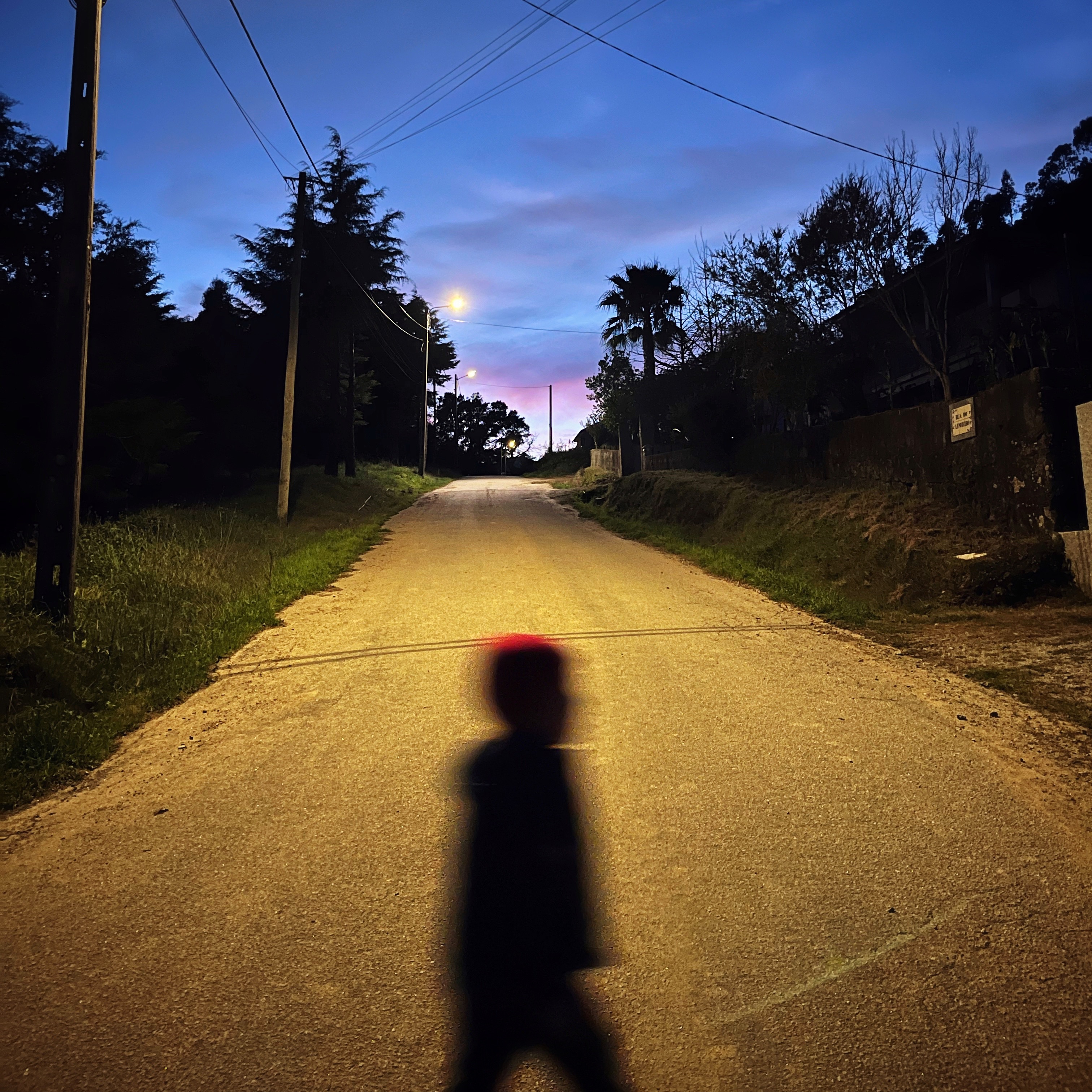 Dans la nuit